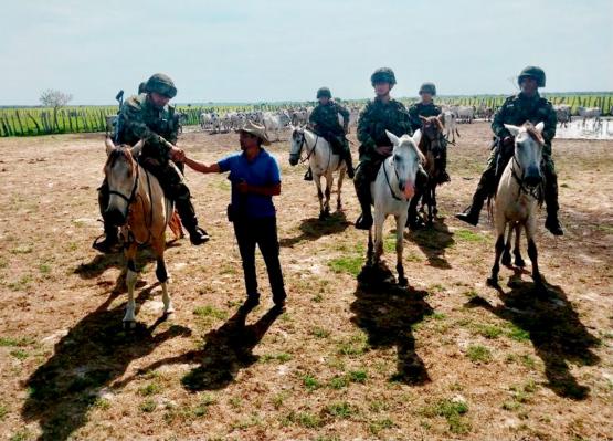 En Arauca se recuperaron 230 cabezas de ganado, avaluadas en 270 millones de pesos
