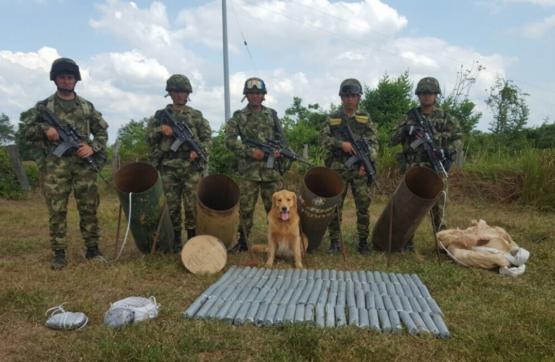 Ubicada área campamentaría que pertenecería al GAO Los Pelusos 