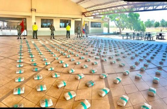 Ejército Nacional y Policía incautan cerca de 391 kilogramos de marihuana en Puerto Carreño, Vichada