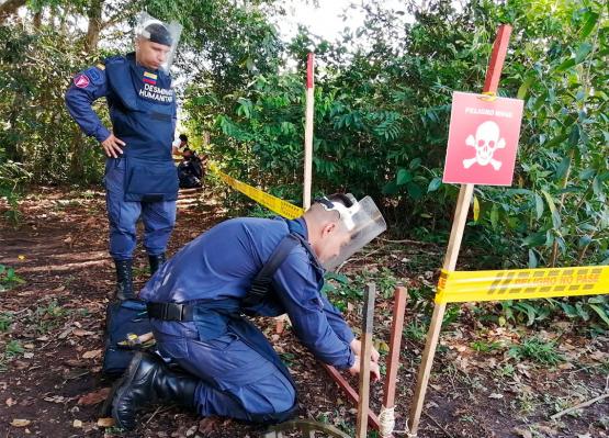 Entregan primera área de La Macarena libre de sospecha de minas antipersonal