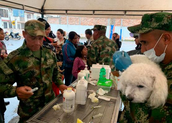 Ejército Nacional brinda su mano amiga a las mascotas durante jornada de desparasitación