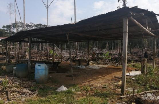 Ejército les destruye a las economías ilícitas en el Guaviare 14 laboratorios