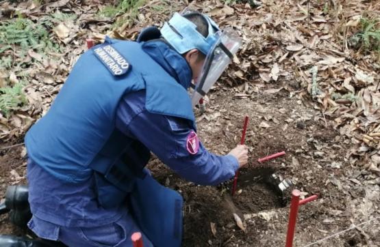 Más de 100 familias del Huila y Putumayo, beneficiadas con el despeje de más de 55.000 metros cuadrados