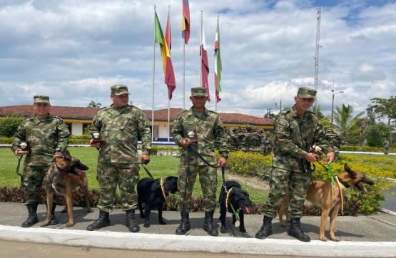 Ejército despide con honores a soldados de cuatro patas después de 5 años de servicio