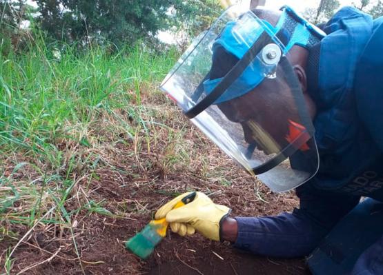 Más de un millón de metros cuadrados de tierras colombianas fueron descontaminados en 6 meses 
