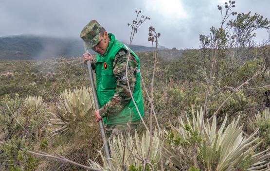 Soldados ambientalistas: una apuesta por la conservación y protección de los recursos naturales 