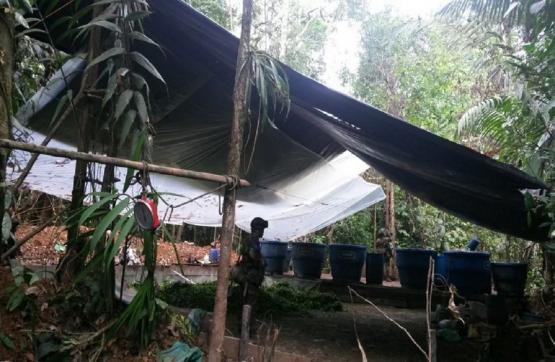 Ejército desmanteló en Turbo, Antioquia, un laboratorio para producir pasta base de coca del Clan del Golfo