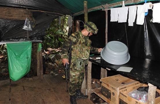 GAO-r 33 pierde 5 mil millones de pesos producto del narcotráfico en el Catatumbo 