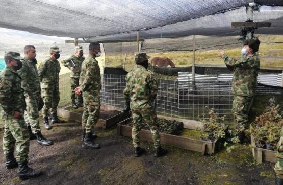 Capacitación de germinación de frailejón a soldados colombianos