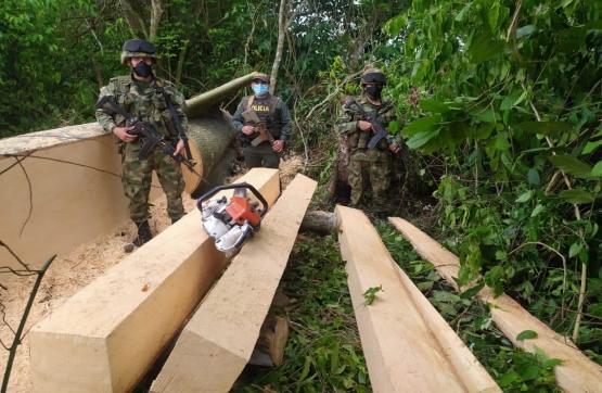 Capturados tres sujetos por aprovechamiento ilícito de recursos naturales
