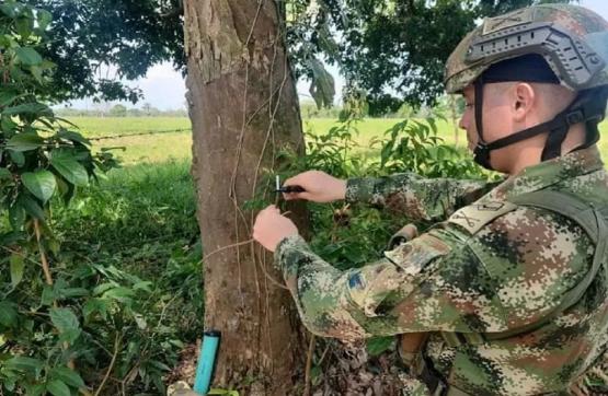 Ejército Nacional desmantela un depósito ilegal y tres áreas minadas en Arauca