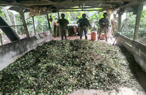 Ejército Nacional desmanteló cuatro laboratorios de estupefacientes en Putumayo