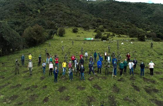 Burbuja Ambiental celebra Día Mundial del Medio Ambiente con siembra de 1.000 árboles en Bogotá, Cundinamarca