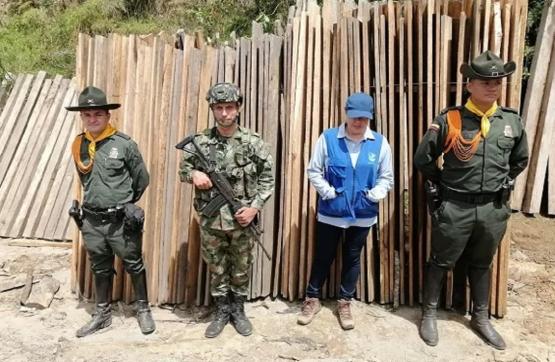 Nueve metros cúbicos de madera, fueron incautados por el Ejército Nacional en Tolima