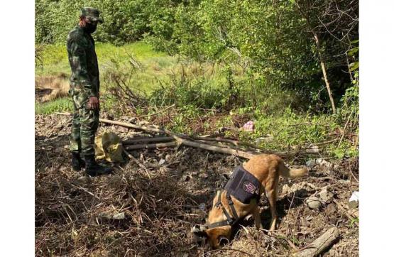 Ejército incautó en Magdalena cerca de dos toneladas de droga que el Clan del Golfo pretendía enviar a Europa