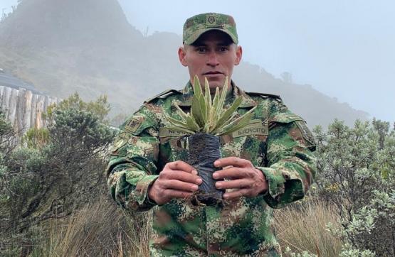 Con viveros y siembras masivas, soldados del Ejército en Caldas, le apuestan a la reforestación