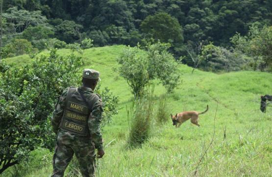 Ejército Nacional ha destruido 10 artefactos explosivos con el desminado militar en Murindó, Antioquia