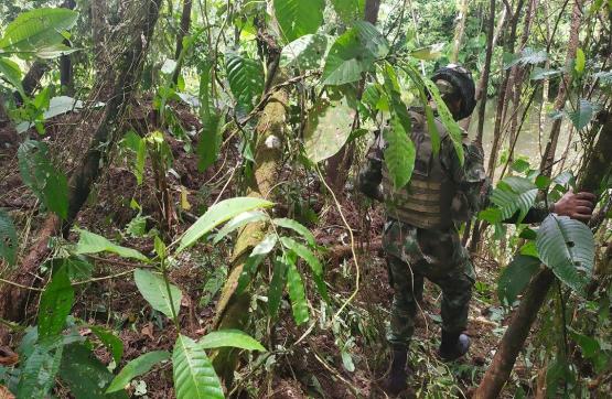Ejército Nacional y Policía neutralizan un depósito ilegal perteneciente al GAO Eln, en Tadó, Chocó