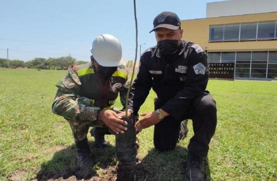 Ejército Nacional sembró 450 árboles en el municipio de Buenavista, La Guajira