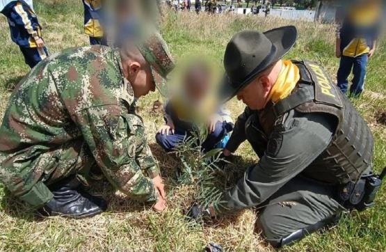 Ejército Nacional y comunidad siembran 600 árboles en Pamplona, Norte de Santander