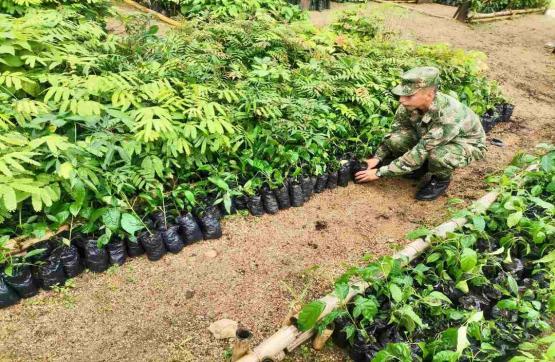 Soldados del Ejército Nacional le apuestan al cuidado del medio ambiente