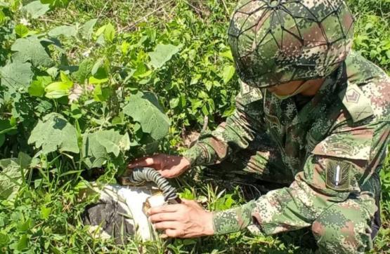 Ejército Nacional neutralizó una acción terrorista contra la población civil en Arauca 