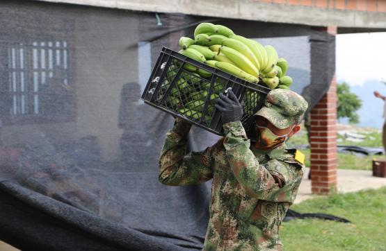 Del Campo a tu Casa, la campaña que cambió la vida de nuestros campesinos en época de pandemia
