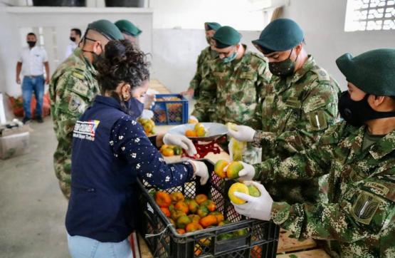 Ejército Nacional apoya la reactivación económica de más de 800 productores del Tolima