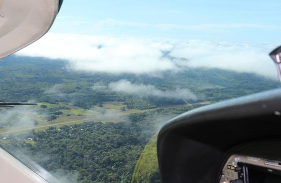 ‘Burbuja ambiental’: estrategia en la lucha contra los crímenes ambientales en la amazonía