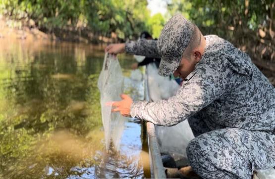 En Cundinamarca, la cuenca alta del Río Magdalena recibió un millón de alevines