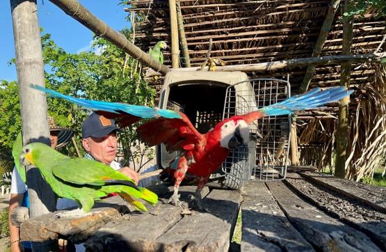 445 animales rescatados en Risaralda regresan a la libertad en el Casanare