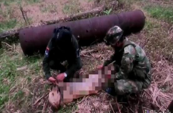 Fuerzas Militares desmantelan mega refinería ilegal que tenía 60 piscinas para el almacenamiento de hidrocarburos