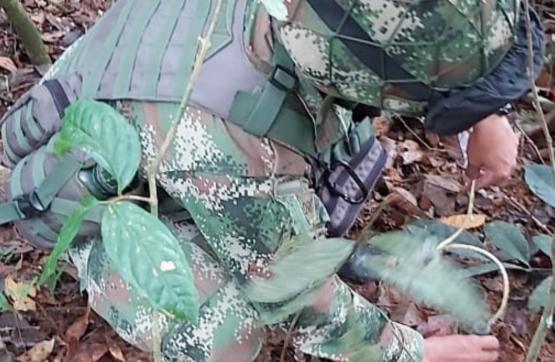 Fuerzas Militares hallan material explosivo impermeabilizado ante condiciones meteorológicas 