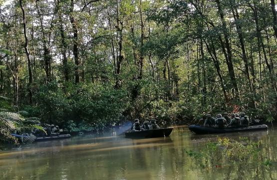 Fuerza de Tarea Conjunta Omega capturan tres sujetos, incautan material forestal e inmovilizan un vehículo