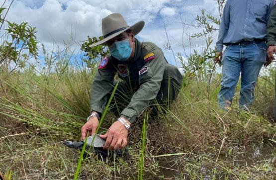  Especies silvestres son devueltas a su habitad natural con el apoyo de la Fuerza Aérea Colombiana 