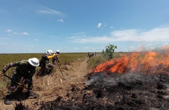  Trabajo unificado, clave para mitigar incendio en el Parque Nacional Natural El Tuparro