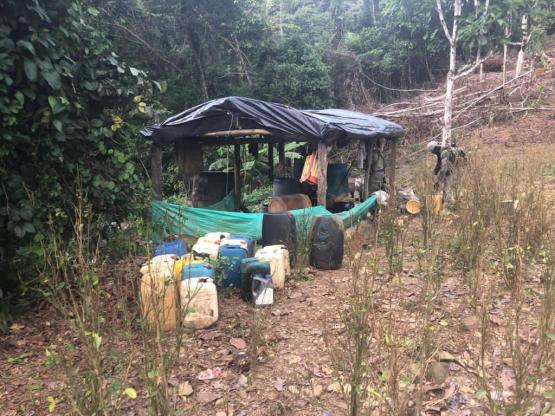 Once laboratorios ilegales que procesaban base de cocaína fueron destruidos, en Antioquia
