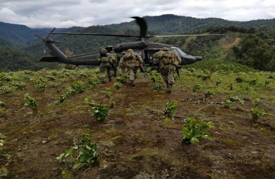 En Chocó fueron destruidos 14 laboratorios para el procesamiento de pasta base de cocaína