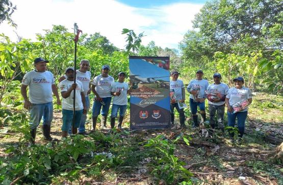 Productores de cacao en el Vichada reciben capacitación y herramientas para impulsar su productividad