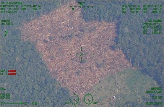 Fuerza Aérea Colombiana realiza constantes misiones contra la deforestación en el suroriente del país