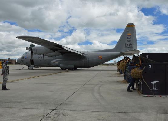 Fuerza Aérea Colombiana transporta ejemplares equinos a Leticia, Amazonas 
