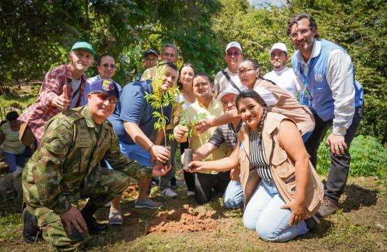 Fuerzas Militares sembraron más de 18 mil árboles en jornada de reconciliación con firmantes del acuerdo de paz