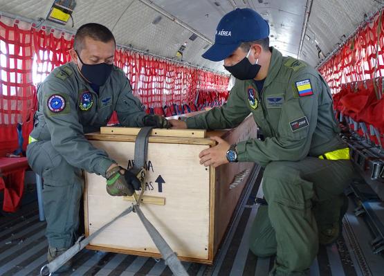 Fuerzas Militares apoyan retorno de cocodrilo encontrado en la Isla de San Andrés