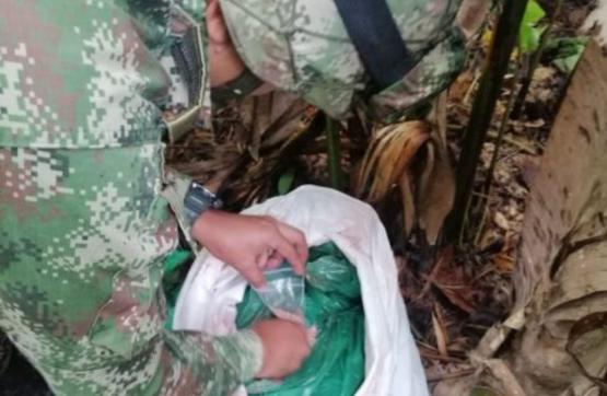 Fuerzas Militares incautan más de una tonelada de explosivos en Putumayo