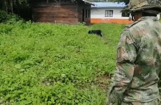 Fuerzas Militares neutralizaron cinco artefactos explosivos que habían sido instalados a pocos metros de escuela rural