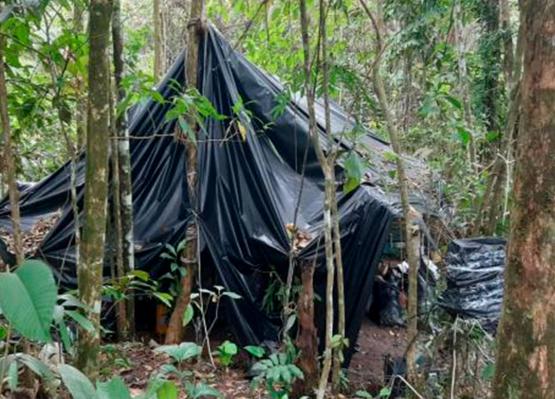 Fuerzas Militares y Policía neutralizan infraestructura empleada para el procesamiento de cocaína