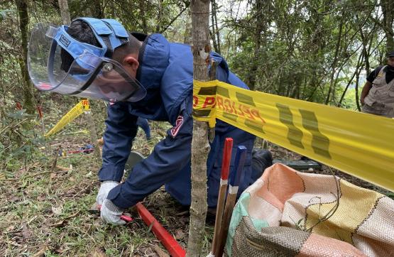 Más del 70 % del territorio colombiano está libre de sospecha de minas antipersonal
