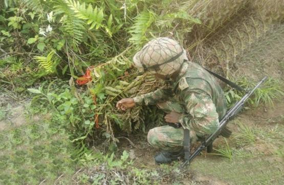 13 minas antipersonales fueron neutralizadas por el Ejército Nacional en el municipio de Fortul, Arauca