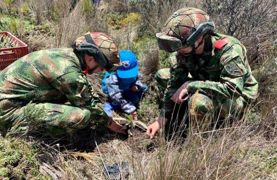 Ejército hace un relevo generacional para proteger los frailejones en Caldas 
