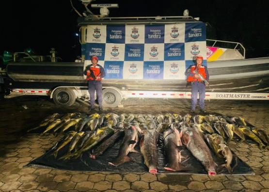 Incautados más de 500 kilogramos de pesca ilegal en el área general de Isla Gorgona